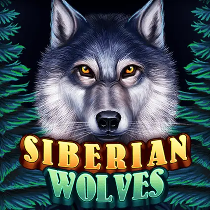 Siberian Wolves 